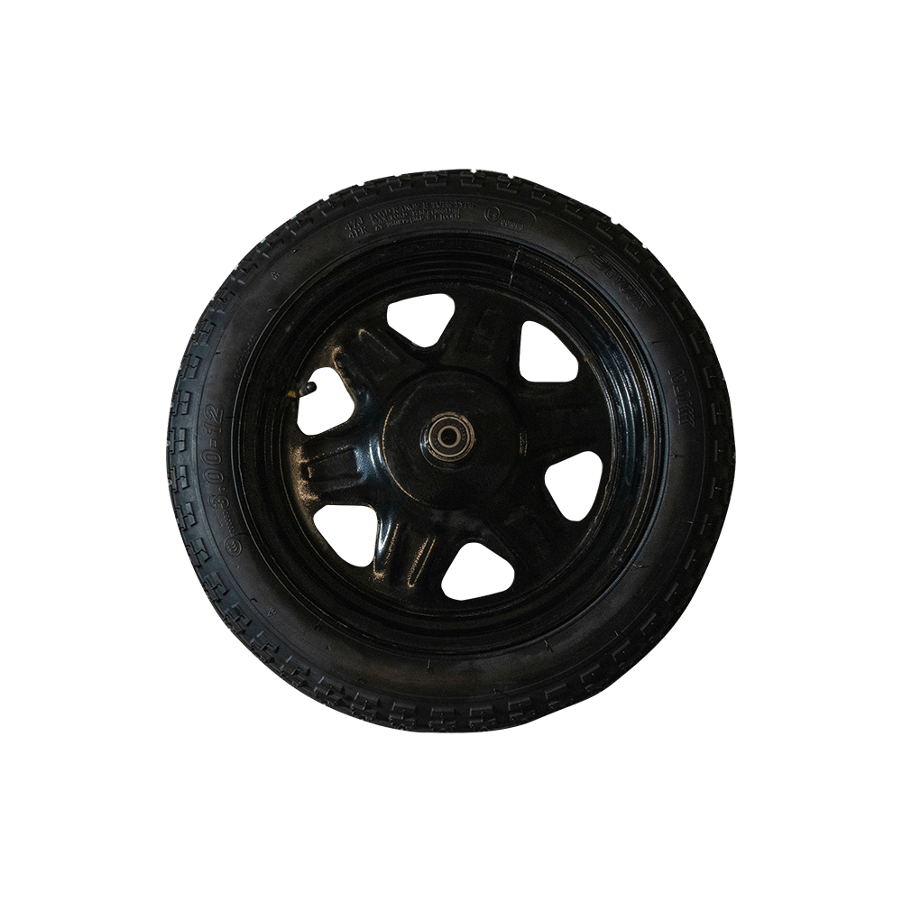 ROATA COMPLETA FATA (Cargo 250