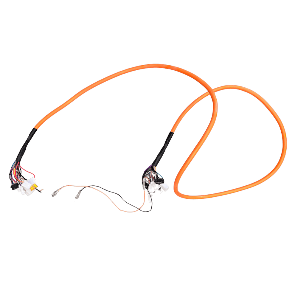 Cablu electric principal P1-00 (Model A)